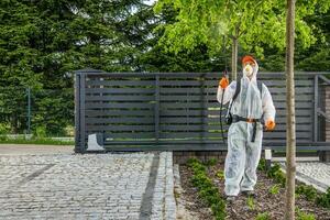 fongicides arrière-cour jardin des arbres par professionnel jardin ouvrier photo