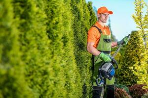 jardinier avec taille-haie photo