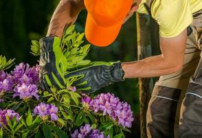 jardinier vérification sur fleurs photo