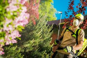 jardin les plantes insecticide photo