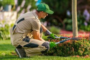 professionnel jardinier performant plante garniture photo