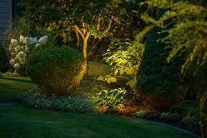 jardin les plantes ambiant éclairage photo