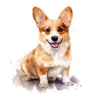 mignonne corgi chien. illustration ai génératif photo