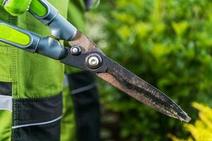 professionnel jardin les plantes les ciseaux photo