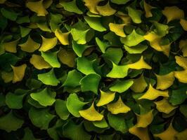 ginkgo biloba feuilles foncé Contexte établi avec génératif ai La technologie photo