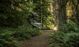 RV camping dans le séquoia forêt de Californie photo