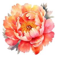 aquarelle magnifique pivoine fleur. illustration ai génératif photo