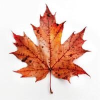 l'automne feuille isolé. illustration ai génératif photo