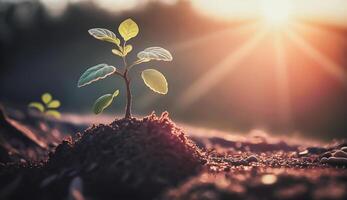 Jeune plante croissance de la graine dans sol dans parc dans Soleil augmenter, génératif ai photo