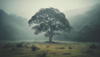 tranquille aube, brumeux prairie, silhouette de pin arbre beauté généré par ai photo