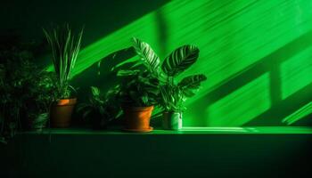 vert plante d'appartement croissance illuminé par moderne électrique lampe à l'intérieur généré par ai photo