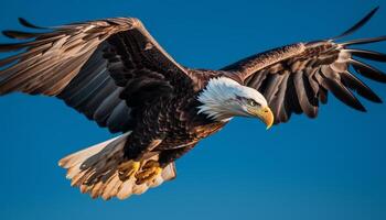 chauve Aigle planant majestueusement dans clair bleu ciel, serres élargi généré par ai photo