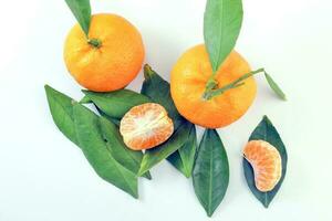 Jaune mandarine mandarin Orange photo