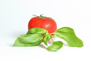 tomate et basilic photo