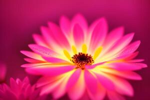 magnifique embrasé fleurs. aurore fleurit. le fascinant lueur de fleurs. génératif ai photo