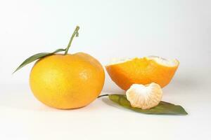 géant mandarin Orange photo