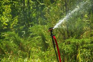 le arroseur dans le jardin est arrosage le pelouse. botanique jardin. photo