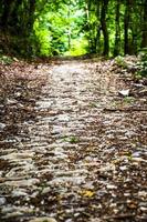 Chemin pavé à Possagno, Trévise, Italie photo