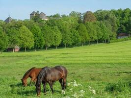 le printemps en westphalie photo