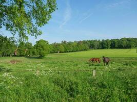 le printemps en westphalie photo