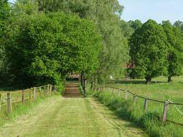 le printemps en westphalie photo