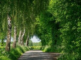 printemps temps dans Allemagne photo