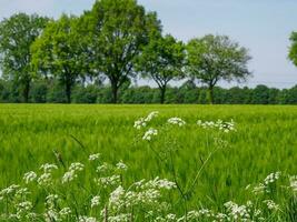 printemps temps dans Allemagne photo