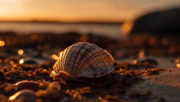 le coucher du soleil coquillage spirale, Jaune étoile de mer sur bleu des eaux bord généré par ai photo