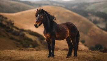 de race cheval fonctionnement gratuit dans vert Prairie génératif ai photo