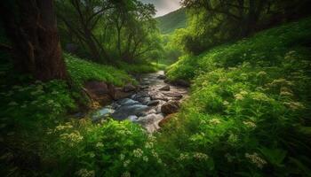 tranquille scène de une Montagne intervalle avec écoulement l'eau et sentier généré par ai photo