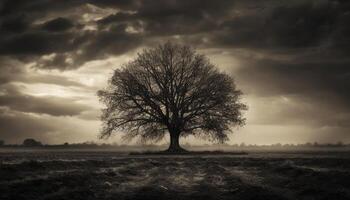 silhouette de un vieux arbre contre une de mauvaise humeur ciel généré par ai photo