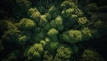 Frais vert forêt paysage avec épanouissement fleurs et arbre croissance généré par ai photo