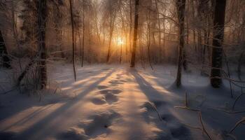 tranquille scène de conifère des arbres dans hiver région sauvage zone généré par ai photo