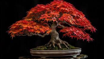 Japonais érable dans fleur pot, symbolisant beauté dans la nature saison généré par ai photo