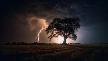 majestueux arbre silhouette contre spectaculaire ciel dans effrayant l'automne crépuscule généré par ai photo