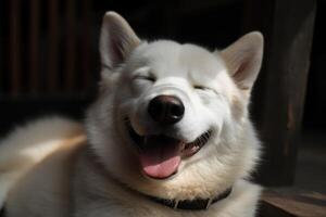 portrait de une blanc Suisse berger chien mensonge sur le sol ai généré photo