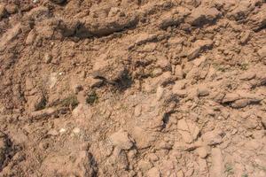 Texture de fond du sol labouré dans un champ de culture