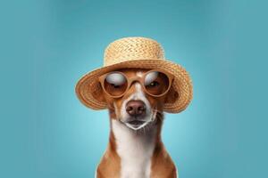 content chiot chien portrait portant été des lunettes de soleil et chapeau à la recherche à caméra isolé sur bleu pente studio Contexte. ai généré photo