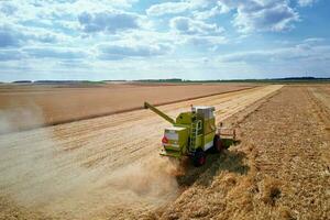 moissonneuse combiner travail dans le champ photo