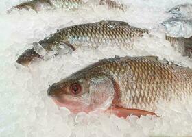 Frais poisson dans la glace plateau le supermarché photo