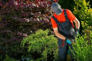 jardinier les plantes Coupe photo