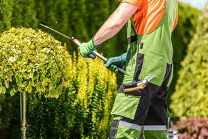 plante façonner jardin aménagement paysager travail photo