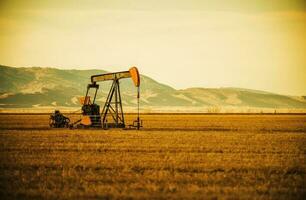 pétrole pompe sur prairie photo