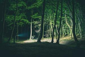 explorant le les bois dans le nuit photo