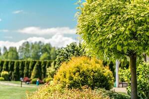 petit arrière-cour jardin photo