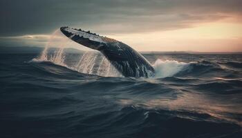 majestueux à bosse infractions, dauphin saute, tueur baleine en train de regarder à le coucher du soleil généré par ai photo