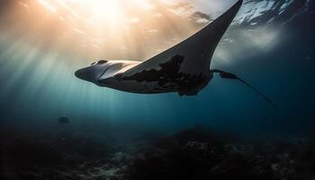 nager avec majestueux manta rayon, une tropical sous-marin aventure généré par ai photo