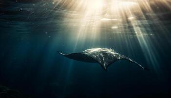 gratuit plongée aventure majestueux à bosse baleine dans tropical paysage marin généré par ai photo