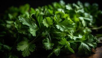 en bonne santé garnir Frais coriandre et persil paquet pour été salades génératif ai photo