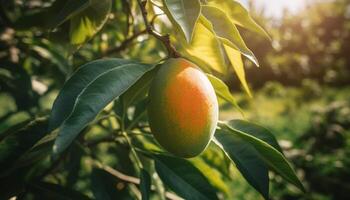 juteux pêche et mûr pomme, Frais de le verger en plein air généré par ai photo